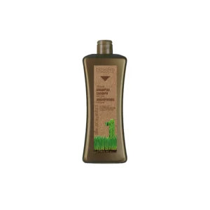 CHAMPÚ ARGAN SALERM BIOKERA